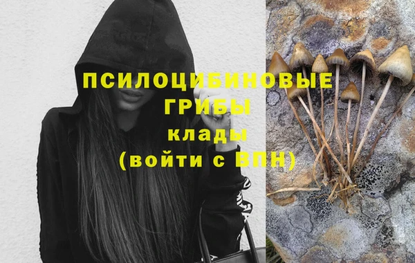 спиды Беломорск