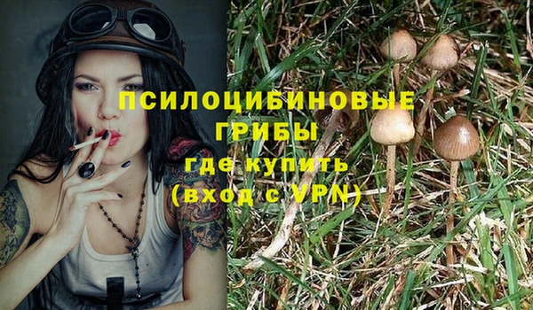 спиды Беломорск