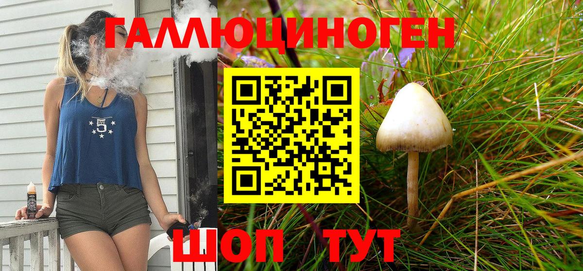 Реж  Галлюциногенные грибы MAGIC MUSHROOMS  Вход с VPN 